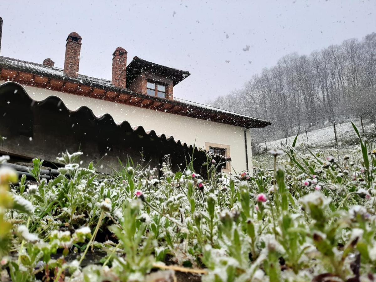 Hotel Rural El Rexacu Bobia de Arriba Eksteriør billede